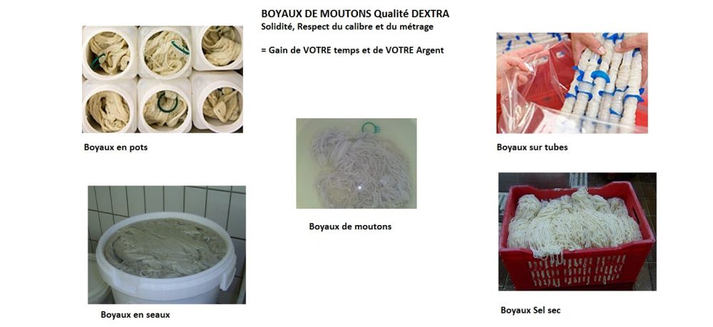 Boyaux De Mouton 24/26 Tubes Rigides (10X91 M) - Rejo