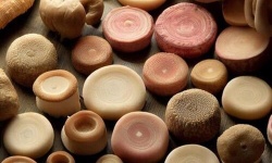 differents_types_de_boyaux_pour_saucisses